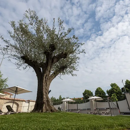 Bernasconi Bed & Breakfast Narzole